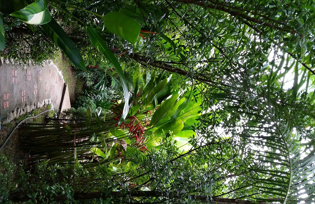 Hotel Khaosok And Spa-1